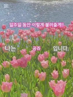 당신은 무엇인가요 ??