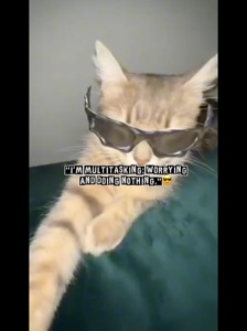 Memes