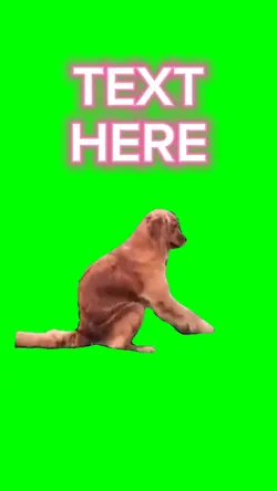 Funny dog hump