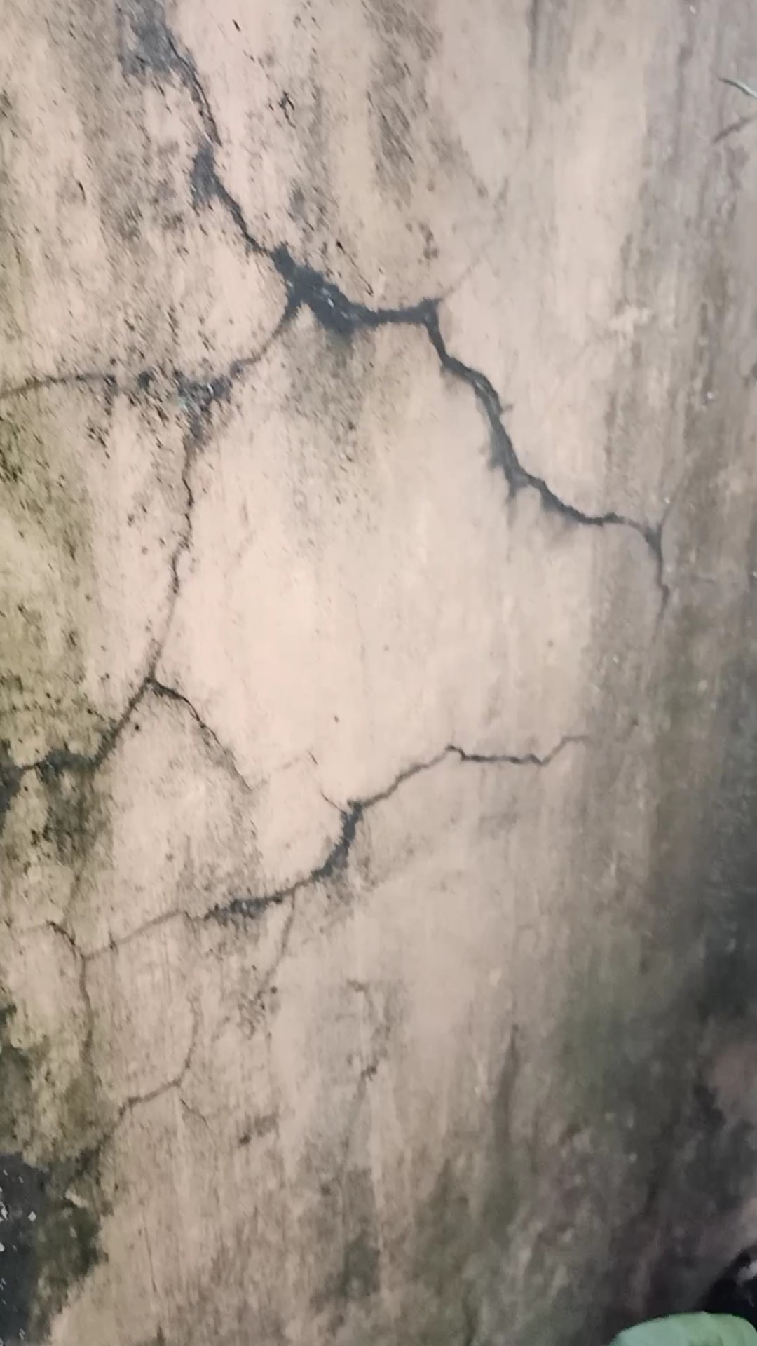 Slowmo / Filter