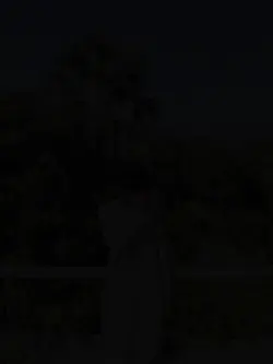 আমি পাপি গুনা গার 