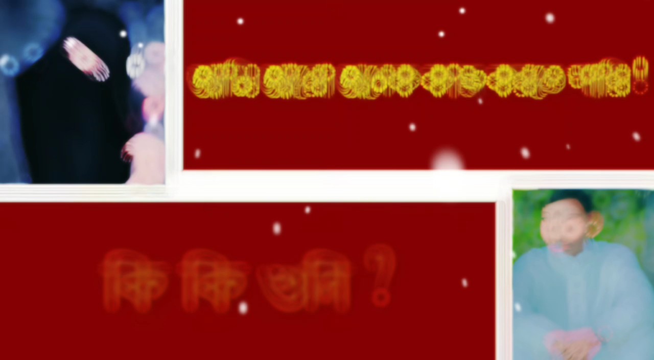 তুই একটা গাধা