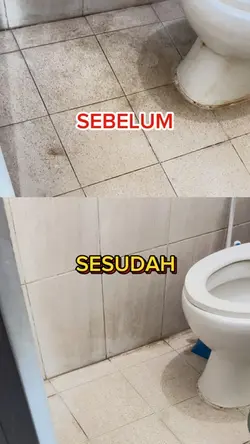 pembersih kerak wc