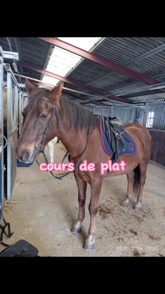 cours du 06/01/24