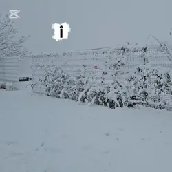 Alege  liniștea..