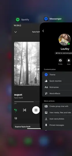 mess&sptfy ios ver.