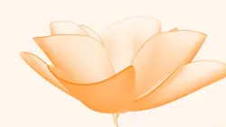 Peach Flower intro