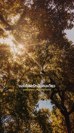นะหน้าทอง