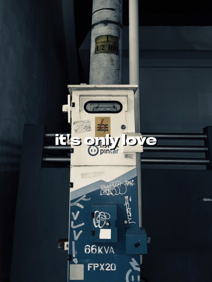 SEINE EINZIGE LIEBE
