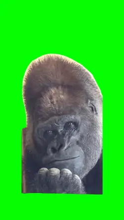 Sad Gorilla meme 
