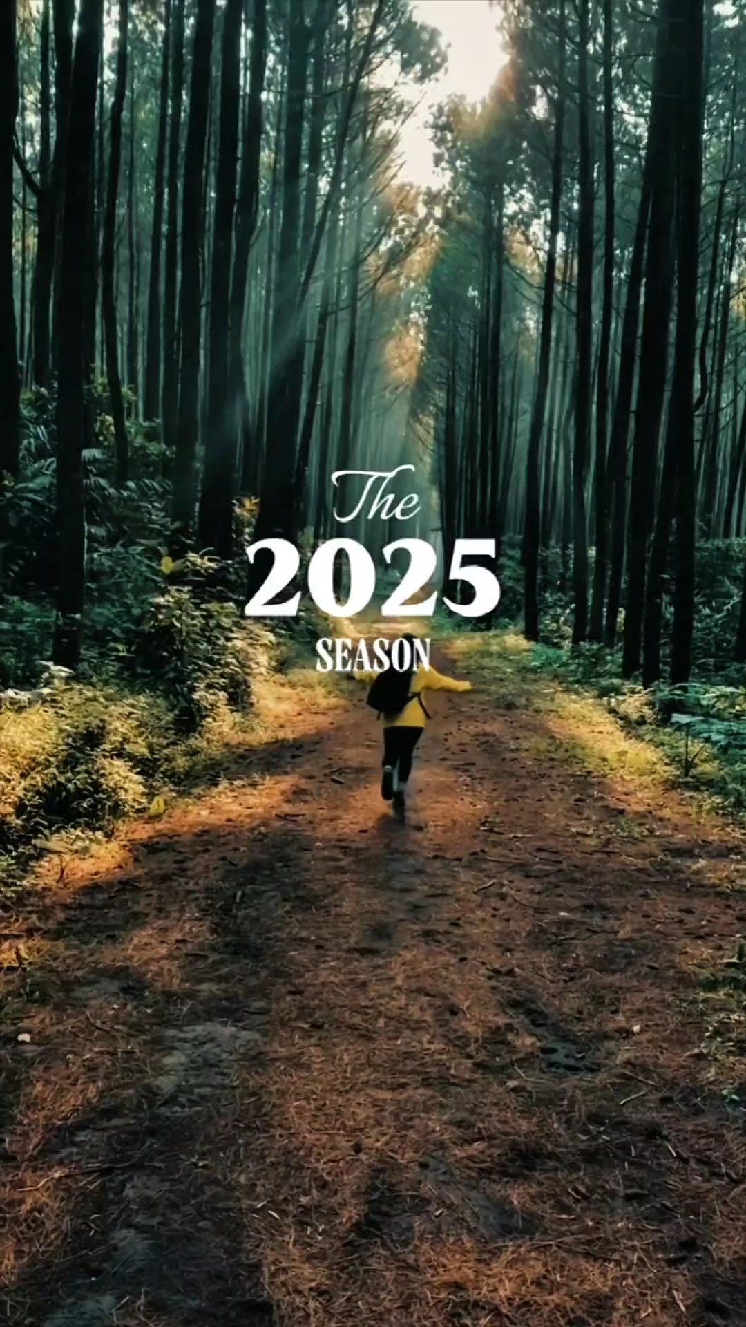 the 2025 season