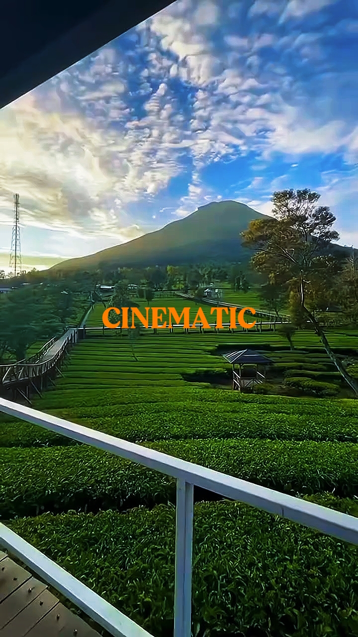 CINEMÁTICO