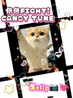 倍倍FIGHT! CANDY TUNE