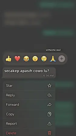 secakepapasihcwolu?