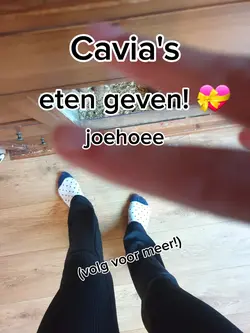 Cavia's eten geven