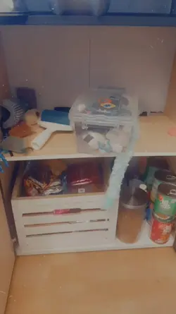 katzenfutter 
