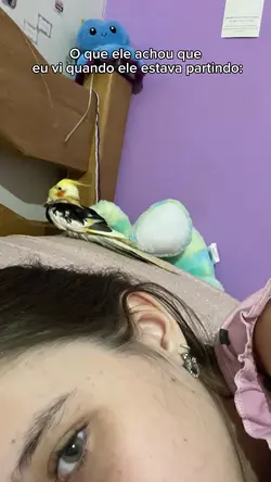 Luto animalzinho