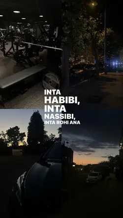 Inta Habibi