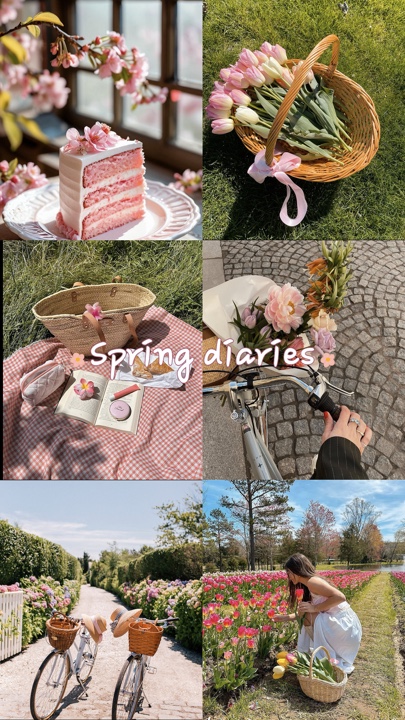 Spring Diaries