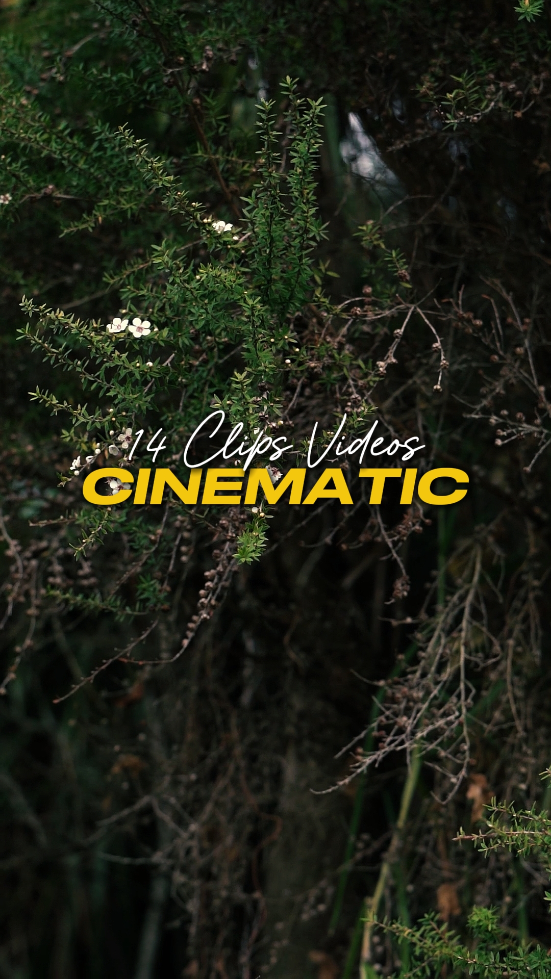 Cinematic 14 na Mga Video