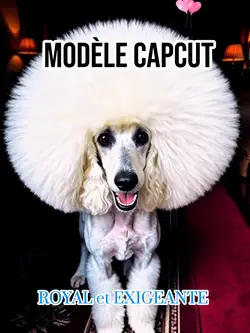 CAPCUT et Sa MAJESTÉ