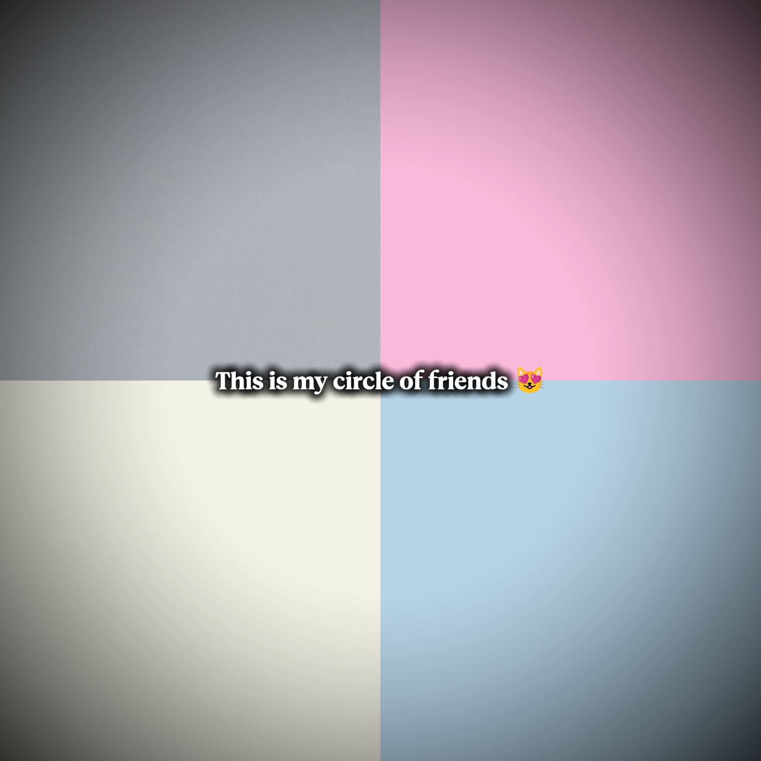 cercle d'amis 