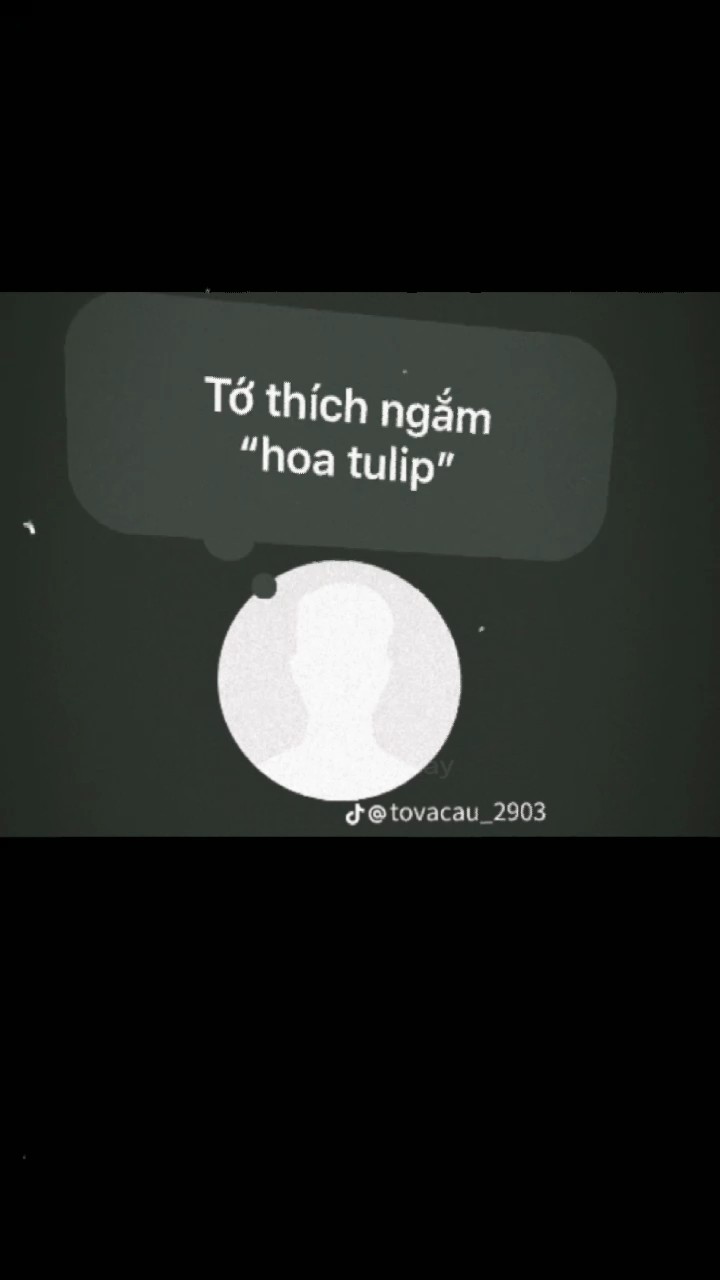 Tớ thích ngắm hoa