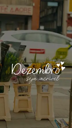 Dezembro incrível
