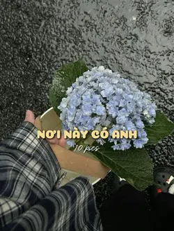 Nơi này có anh