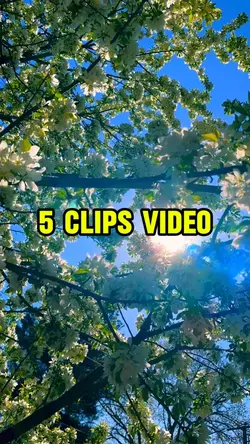 5 clips video vlog
