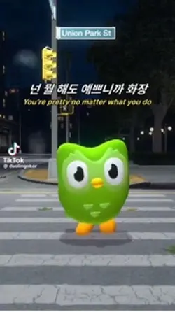 듀오링고 영나 ꩜