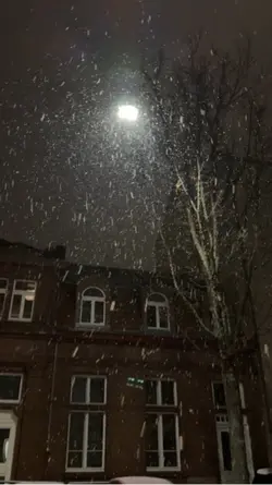 SnowdaY
