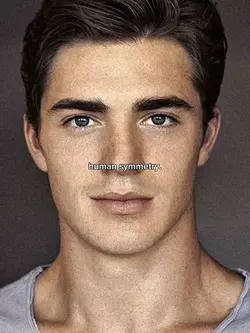 HumanSymmetry 1 pict