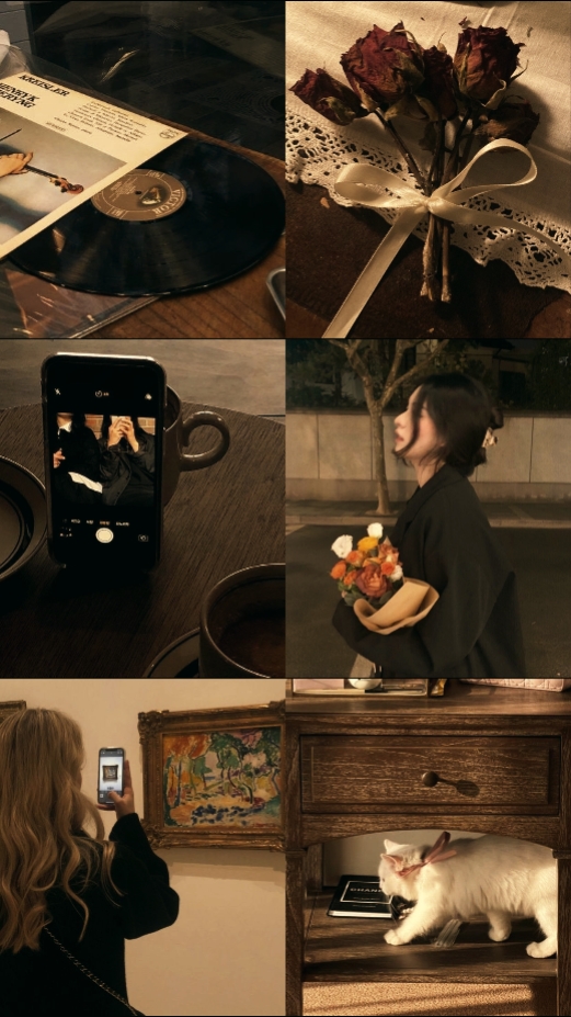 6 pics brown