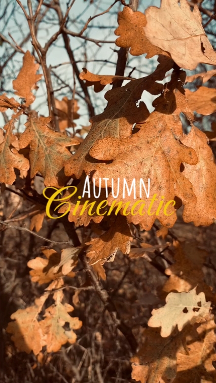autumn