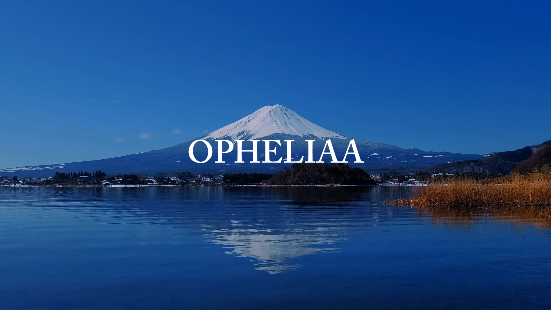 Opheliaa-Trend 