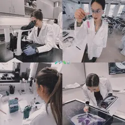Laboratory 