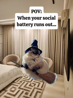 social battery