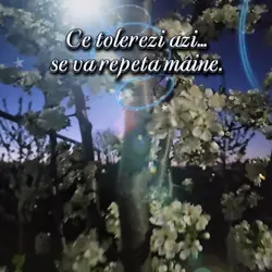 Ce tolerezi,se repet