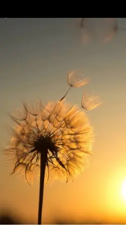 Schöne Momente 🫶