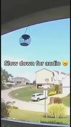 Slow down for audio 