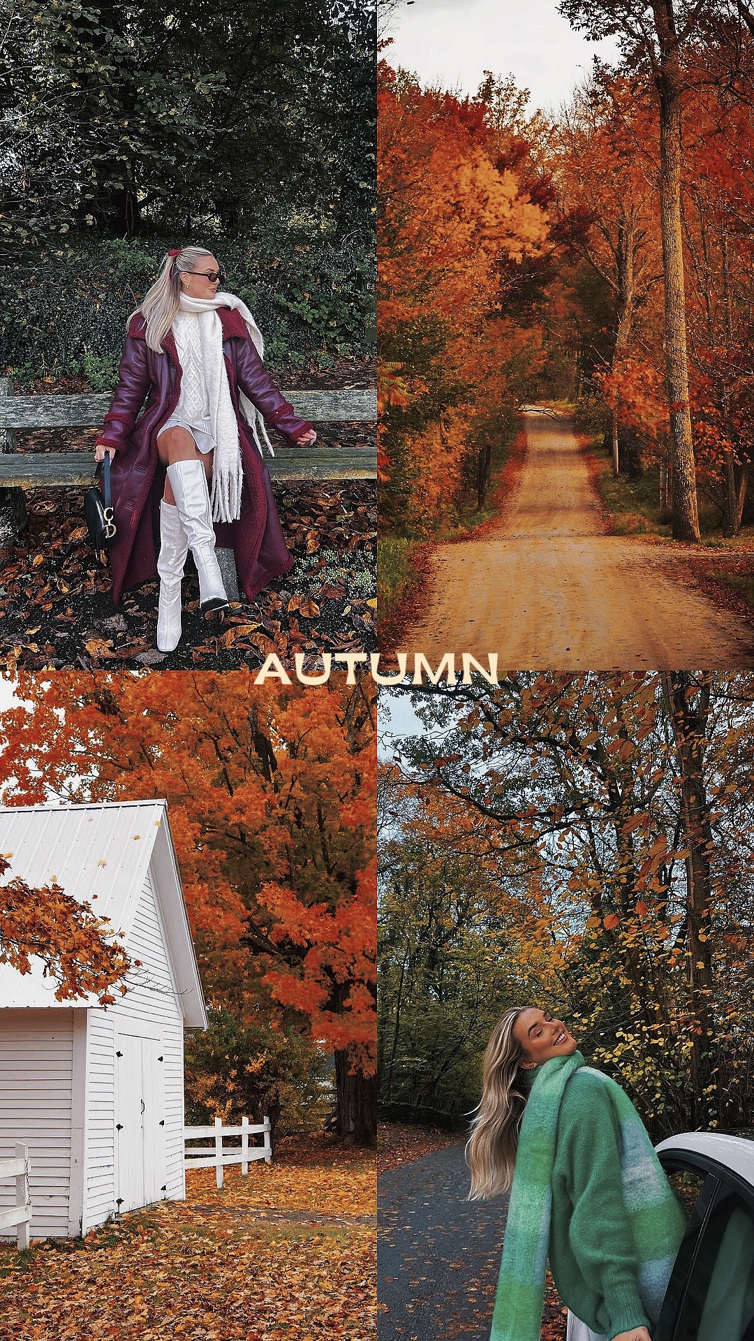 Autumn vibes