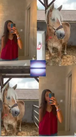 Je t’ai dit je t’aim