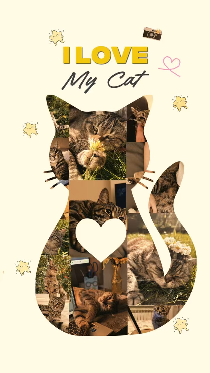 My cat soo cute 