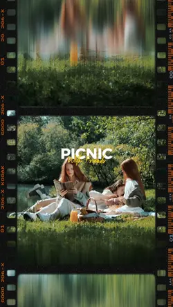picnic with friends