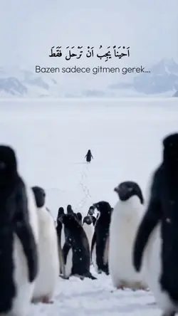 Sadece gitmen gerek
