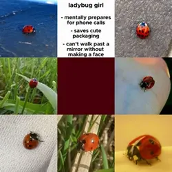 Ladybug girl
