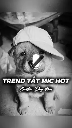 TẮT MÍC HOT TIKTOK