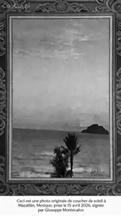 Picture taken sunset