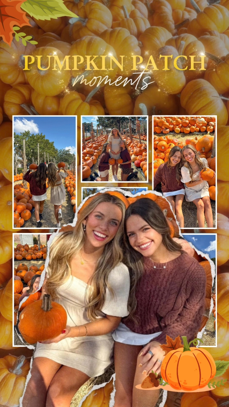 Pumpkin Patch Season